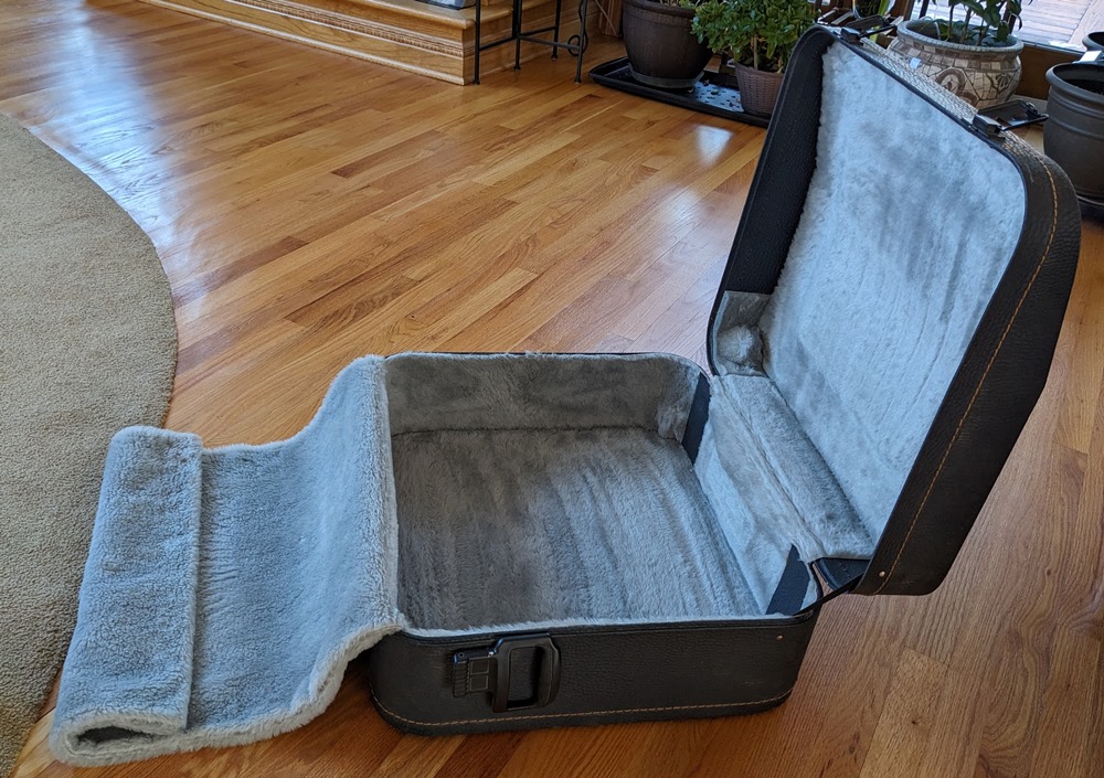 Alessandrini Amplified Accordion