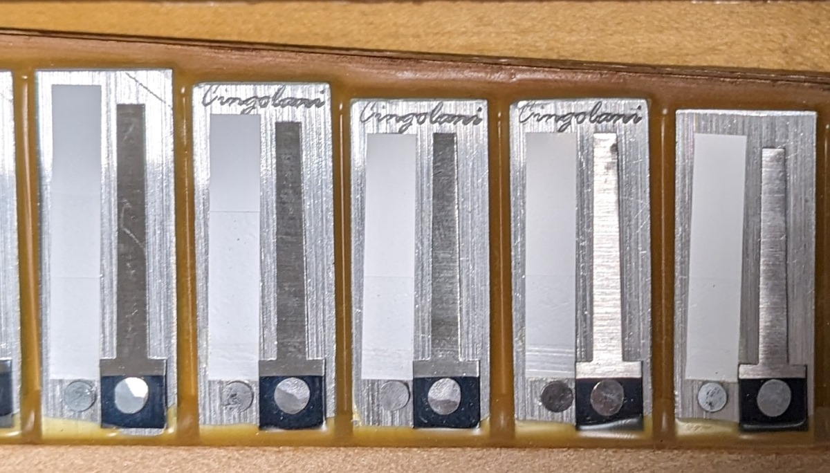 Frontalini Superior VI Accordion