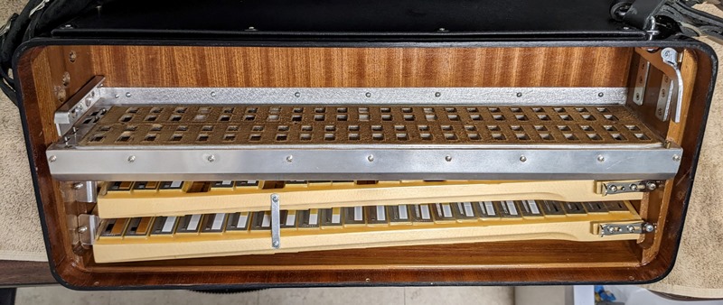 Bugari Reeds Bugari Gold Plus Accordion