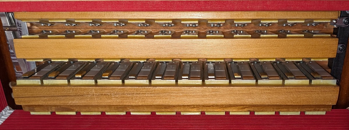 Dino Baffetti Accordion