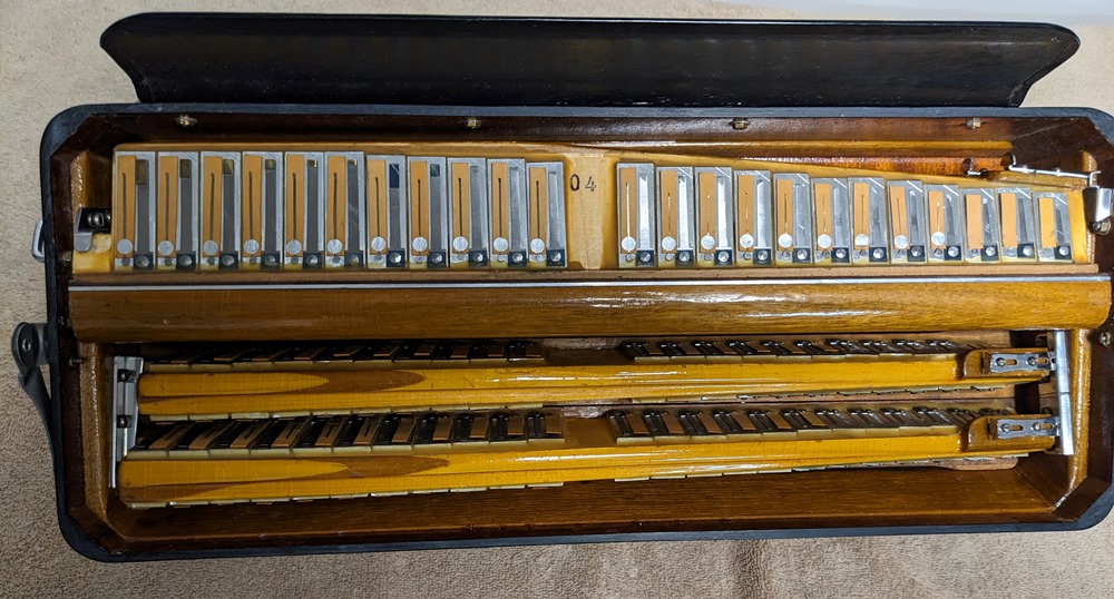 Titano Royal Accordion Catraro Reeds