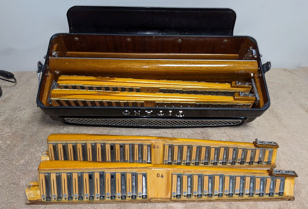 Titano Royal Accordion Catraro Reeds