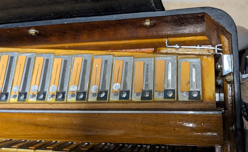 Titano Royal Accordion Catraro Reeds