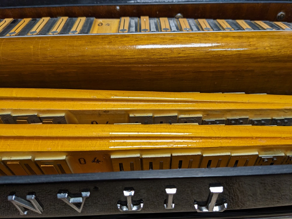 Titano Royal Accordion Catraro Reeds