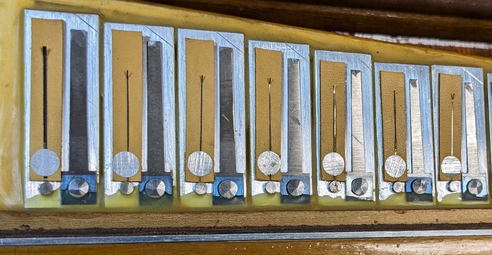 Titano Royal Accordion Catraro Reeds