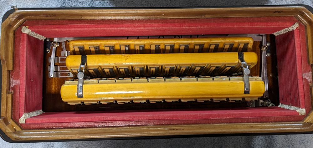 Titano Royal Accordion Catraro Reeds