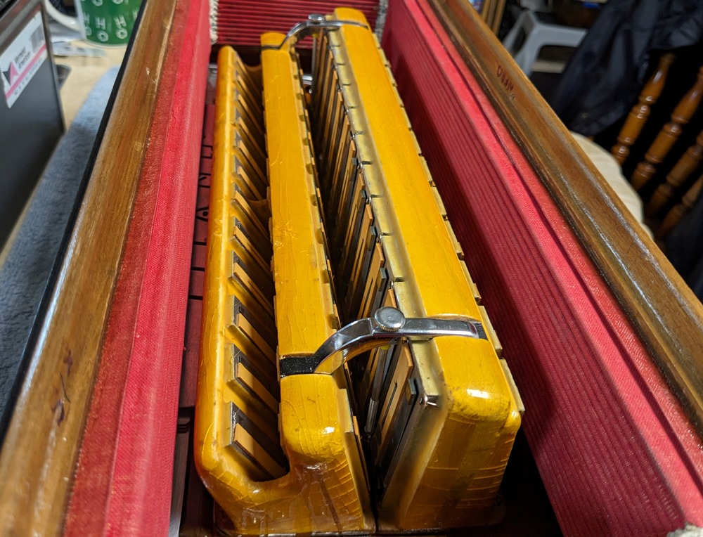 Titano Royal Accordion Catraro Reeds