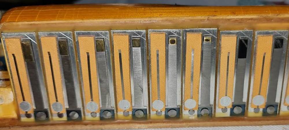 Titano Royal Accordion Catraro Reeds